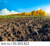 Freshly plowed farm field on a blue sky background. Стоковое фото, агентство Ingram Publishing / Фотобанк Лори