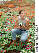 Girl chooses beautiful fresh flowers of the Balsaminaceae genus for her home. Стоковое фото, фотограф Яков Филимонов / Фотобанк Лори