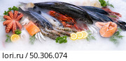 Panoramic web banner crop Top view of variety of fresh luxury seafood, Lobster salmon mackerel crayfish prawn octopus mussel and scallop, on ice background with icy smoke in seafood market. . Стоковое фото, агентство Ingram Publishing / Фотобанк Лори