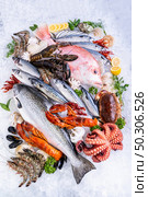 Top view Variety of fresh luxury seafood, Lobster salmon mackerel crayfish prawn octopus mussel red snapper scallop and stone crab, on ice background in seafood market. Стоковое фото, агентство Ingram Publishing / Фотобанк Лори