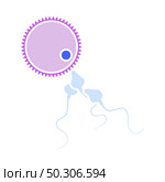 Sperm And Egg Cell Icon. Flat Color Design. Vector Illustration. Стоковая иллюстрация, агентство Ingram Publishing / Фотобанк Лори