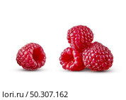 Close up homegrown freshly picked ripe natural organic raspberries isolated on a white background, copy space. Vegetarian healthy food concept.. Fresh ripe natural organic raspberry isolated on a white background. Стоковое фото, агентство Ingram Publishing / Фотобанк Лори