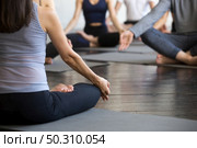 Group of young sporty people practicing yoga lesson with instructor, sitting in easy pose, Lotus exercise, working out, indoor close up, studio, students training in club. Rear view. Group of young sporty people sitting in Lotus pose, closeup. Стоковое фото, агентство Ingram Publishing / Фотобанк Лори