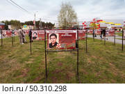 Аллея славы учителей-фронтовиков ВОВ. Город Заводоуковск 9 мая 2025. Редакционное фото, фотограф Анатолий Матвейчук / Фотобанк Лори
