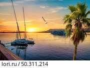 Nile River and boats at sunset in Luxor. Palm and nile. Стоковое фото, агентство Ingram Publishing / Фотобанк Лори