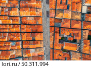 Aerial view of houses with orange roofs at sunset in summer in Dubrovnik, Croatia. Top view of beautiful architecture in old city. Historical centre, buildings, walking people on the street. Travel. Стоковое фото, агентство Ingram Publishing / Фотобанк Лори