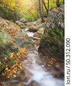 Autmn rill flow. Nature landscape composition. Стоковое фото, агентство Ingram Publishing / Фотобанк Лори