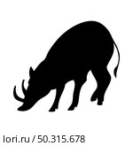 Babirusa Forest Pig Silhouette. Smooth and clean lines. High detailed Babirusa Forest Pig silhouette. Vector Illustration.. pigs and boars silhouettes set. Стоковая иллюстрация, агентство Ingram Publishing / Фотобанк Лори