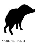 Collared peccary silhouette. Smooth and clean lines. High detailed Collared peccary silhouette. Vector Illustration.. pigs and boars silhouettes set. Стоковая иллюстрация, агентство Ingram Publishing / Фотобанк Лори