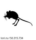 Spiny pocket mice silhouette. Smooth and clean lines. High detailed Spiny pocket mice silhouette. Vector Illustration.. rodents silhouettes. Стоковая иллюстрация, агентство Ingram Publishing / Фотобанк Лори