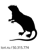 Water Tenrec Silhouette. Smooth and clean lines. High detailed Water Tenrec silhouette. Vector Illustration.. rodents silhouettes. Стоковая иллюстрация, агентство Ingram Publishing / Фотобанк Лори