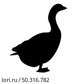 Silhouette goose gosling geese anser gander black color vector illustration flat style simple image. Silhouette goose gosling geese anser gander black color vector illustration flat style image. Стоковая иллюстрация, агентство Ingram Publishing / Фотобанк Лори