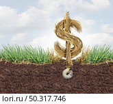 Lawn Health cost and grub damage expense as chinch larva damaging grass roots causing a brown patch disease in the turf as a composite image for as a gardening concept. Стоковое фото, агентство Ingram Publishing / Фотобанк Лори