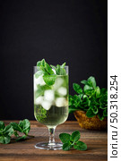 Iced mint tea, refreshing herbal drink in a glass with ice and fresh leaves on dark background. Стоковое фото, агентство Ingram Publishing / Фотобанк Лори