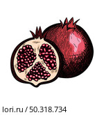 Icon Of Pomegranate. Hand Drawn Sketch Design. Vector Illustration. Стоковая иллюстрация, агентство Ingram Publishing / Фотобанк Лори