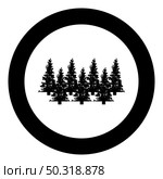 Fir tree Christmas Coniferous Spruce Pine forest Evergreen woods Conifer silhouette in circle round black color vector illustration solid outline style simple image. Fir tree Christmas Coniferous Spruce Pine forest Evergreen woods Conifer silhouette in circle round black color vector illustration solid outline style image. Стоковая иллюстрация, агентство Ingram Publishing / Фотобанк Лори