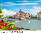 Flowers and leaves near Parliament in Budapest at sunset, Hungary. Стоковое фото, агентство Ingram Publishing / Фотобанк Лори