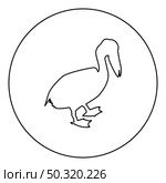 Pelican bird Seabird Waterbird  silhouette in circle round black color vector illustration contour outline style image simple image. Pelican bird Seabird Waterbird silhouette in circle round black color vector illustration contour outline style image . Стоковая иллюстрация, агентство Ingram Publishing / Фотобанк Лори