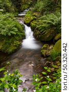 Beautiful water stream in Gresso river Portugal. Long exposure smooth effect. Стоковое фото, агентство Ingram Publishing / Фотобанк Лори