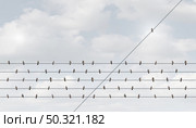 Individual leadership concept and disruptive innovation or independent thinking as a group of birds on a wire with one in the opposite direction as a business symbol for as a different nonconformist maverick in a 3D illustration style. Стоковое фото, агентство Ingram Publishing / Фотобанк Лори