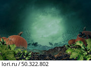 Halloween autumn background in a creepy night background with copy space as a pumpkin patch with  a scary foggy night sky in a haunted farm land in a 3D illustration style. Стоковое фото, агентство Ingram Publishing / Фотобанк Лори