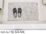 from slippers shaggy rag. Стоковое фото, агентство Ingram Publishing / Фотобанк Лори