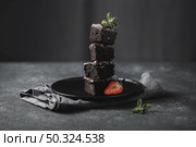 front view chocolate cake pieces plate with mint. Стоковое фото, агентство Ingram Publishing / Фотобанк Лори