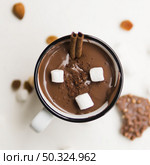 hot chocolate with tubules marshmallow. Стоковое фото, агентство Ingram Publishing / Фотобанк Лори