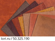 top view assortment leather. Resolution and high quality beautiful photo. top view assortment leather. High quality and resolution beautiful photo concept. Стоковое фото, агентство Ingram Publishing / Фотобанк Лори