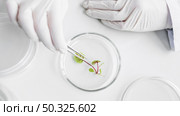top view researcher biotechnology laboratory with petri dish. Resolution and high quality beautiful photo. top view researcher biotechnology laboratory with petri dish. High quality and resolution beautiful photo concept. Стоковое фото, агентство Ingram Publishing / Фотобанк Лори
