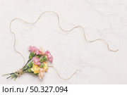 beautiful carnations linen thread white. High resolution photo. beautiful carnations linen thread white. High quality photo. Стоковое фото, агентство Ingram Publishing / Фотобанк Лори