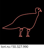 Neon turkeycock red color vector illustration flat style light image. Neon turkeycock red color vector illustration flat style image. Стоковая иллюстрация, агентство Ingram Publishing / Фотобанк Лори