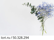 bunch fresh twigs plants vase. High resolution photo. bunch fresh twigs plants vase. High quality photo. Стоковое фото, агентство Ingram Publishing / Фотобанк Лори