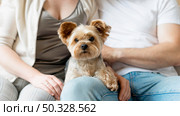 married couple their dog. High resolution photo. married couple their dog. High quality photo. Стоковое фото, агентство Ingram Publishing / Фотобанк Лори