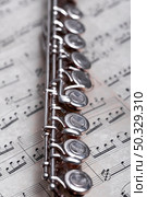 close up metal flute. High resolution photo. close up metal flute. High quality photo. Стоковое фото, агентство Ingram Publishing / Фотобанк Лори