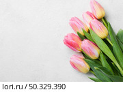 copy space tuilps bouquet. High resolution photo. copy space tuilps bouquet. High quality photo. Стоковое фото, агентство Ingram Publishing / Фотобанк Лори
