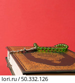 OLYMPUS DIGITAL CAMERA. High resolution photo. green prayer beads quran. High quality photo. Стоковое фото, агентство Ingram Publishing / Фотобанк Лори