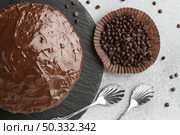 top view chocolate cake with chocolate chips. High resolution photo. top view chocolate cake with chocolate chips. High quality photo. Стоковое фото, агентство Ingram Publishing / Фотобанк Лори