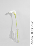 blossom flower vase table (1) Стоковое фото, агентство Ingram Publishing / Фотобанк Лори