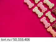 cute dog treats bone shapes. Стоковое фото, агентство Ingram Publishing / Фотобанк Лори