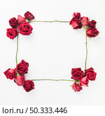 empty decorated red roses frame white background. Стоковое фото, агентство Ingram Publishing / Фотобанк Лори