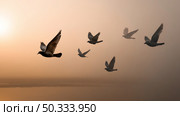 Birds flying over wind power plants in haze, abstract environment background. Pollution and smoke of the environment. Let's save nature and our earth. Стоковое AI-изображение, AI-художник ALLA YURTAYEVA / Фотобанк Лори