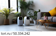 Eco-friendly bamboo charcoal air purifiers installed in a modern living room with plants and soft ambient lighting. Modern air purifier and indoor plant near beige wall. Banner for design. Стоковое AI-изображение, AI-художник ALLA YURTAYEVA / Фотобанк Лори
