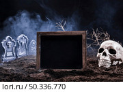night graveyard with skull black sign. Стоковое фото, агентство Ingram Publishing / Фотобанк Лори