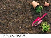 spade with flowerpots ground. Стоковое фото, агентство Ingram Publishing / Фотобанк Лори