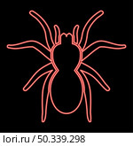 Neon spider or tarantula red color vector illustration image flat style light. Neon spider or tarantula red color vector illustration image flat style. Стоковая иллюстрация, агентство Ingram Publishing / Фотобанк Лори