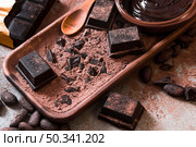 crushed bar chocolate cocoa powder with chocolate sauce. Стоковое фото, агентство Ingram Publishing / Фотобанк Лори
