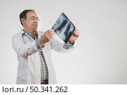 doctor checking radiography. Стоковое фото, агентство Ingram Publishing / Фотобанк Лори