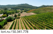 aerial view rural crops fields landscape. Стоковое фото, агентство Ingram Publishing / Фотобанк Лори