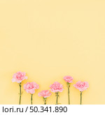 carnations. Стоковое фото, агентство Ingram Publishing / Фотобанк Лори